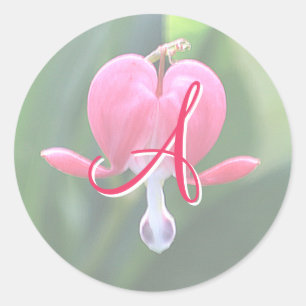 Flores de corazón sangrantes Monograma A Pegatinas