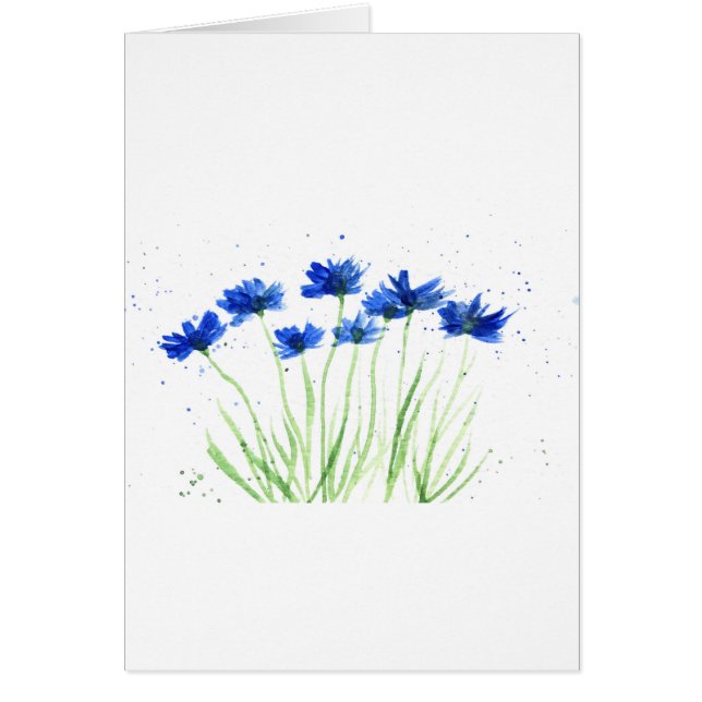Flores de cornflores (Frente)