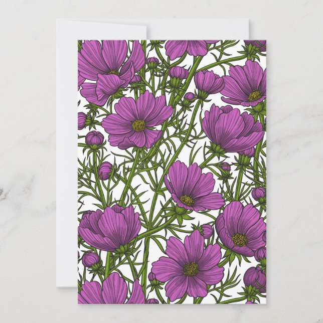 Flores de cosmos violetas (Anverso)
