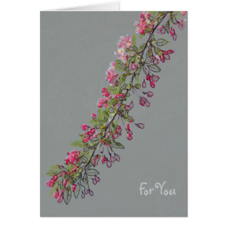 Flores de Crabapple del Central Park