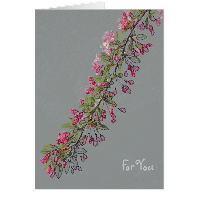 Flores de Crabapple del Central Park (Frente)