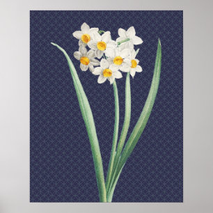 Flores de Daffodil Poster de arte retro vintage