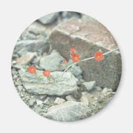 Flores de desierto imán refrigerador decorativo