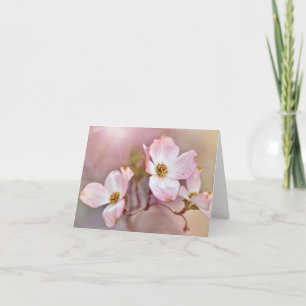 Flores De Dogwood Dreamy Todas Las Tarjetas De Not