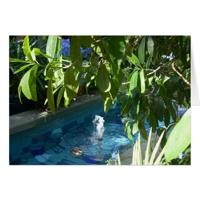 Flores de efecto invernadero cinco (Anverso (Horizontal))