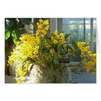 Flores de efecto invernadero dos