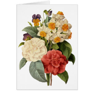 Flores de época, camellias y narcisos, Redoute
