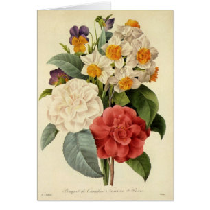 Flores de época, camellias y narcisos, Redoute