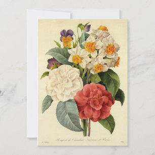 Flores de época, camellias y narcisos, Redoute