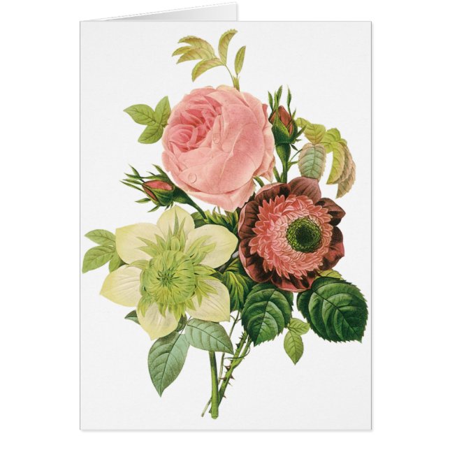 Flores de época, Rosas anémonas clematis de Redout (Frente)