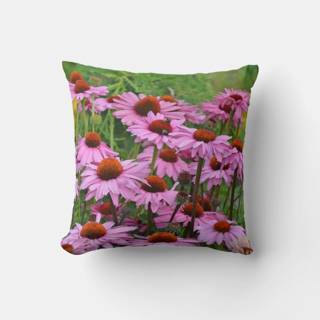Flores de equinácea rosada tiran almohada (Anverso)