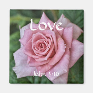 Flores de fe Juan 3:16 imán Rosa