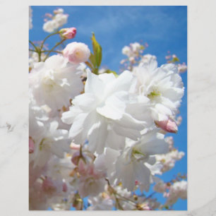 Flores de flores de cielo azul papel de volantes d