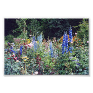 Flores de foto 4x6