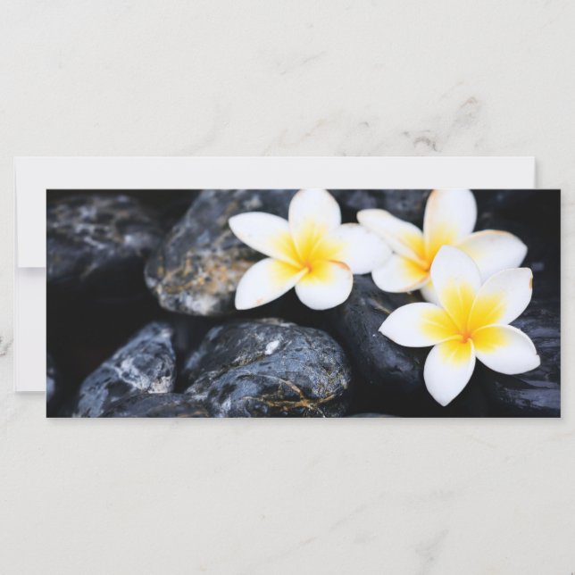 Flores de Frangipani (Anverso)