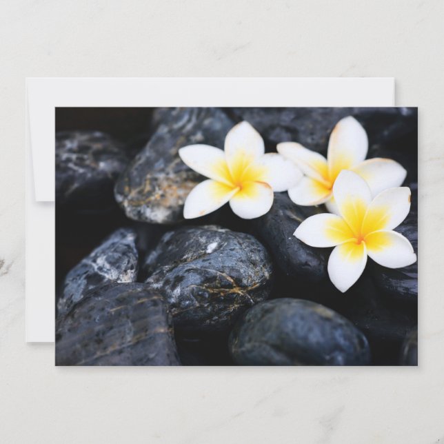 Flores de Frangipani (Anverso)