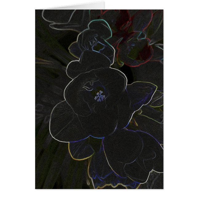 flores de freesia delineadas (Frente)