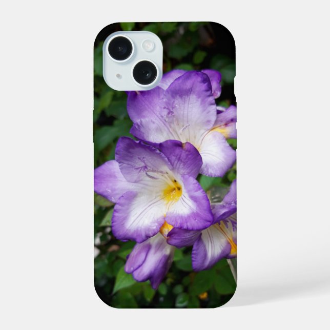 Flores de Freesia Purpura (Reverso )