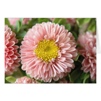 Flores de fresa