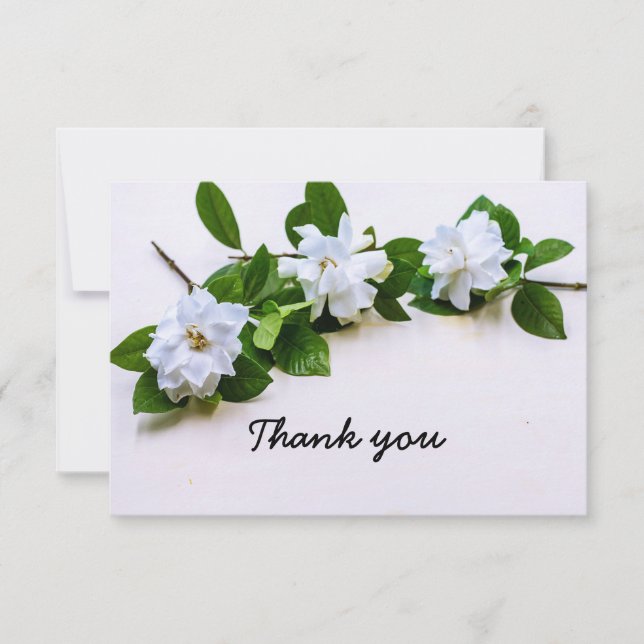Flores de Gardenia Simpatía Gracias Tarjeta Flat (Anverso)