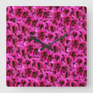 Flores de geranio magenta, reloj de pared cuadrado