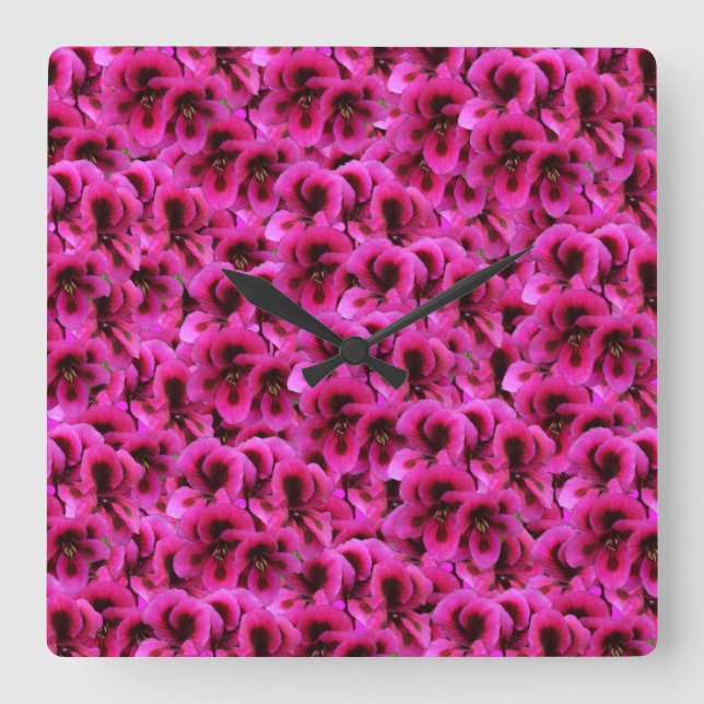 Flores de geranio magenta, reloj de pared cuadrado (Anverso)
