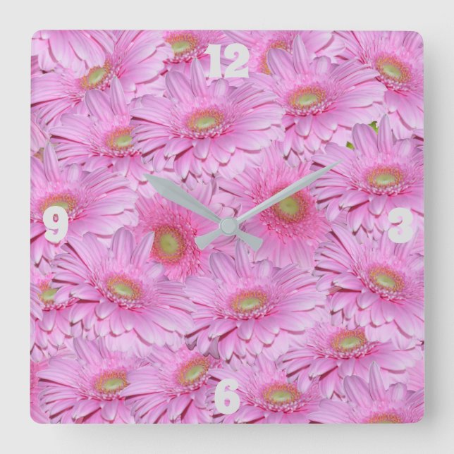 Flores de Gerbera rosa, reloj de pared cuadrado (Anverso)