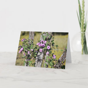 Flores de gloria matutina en tarjeta de nota de la