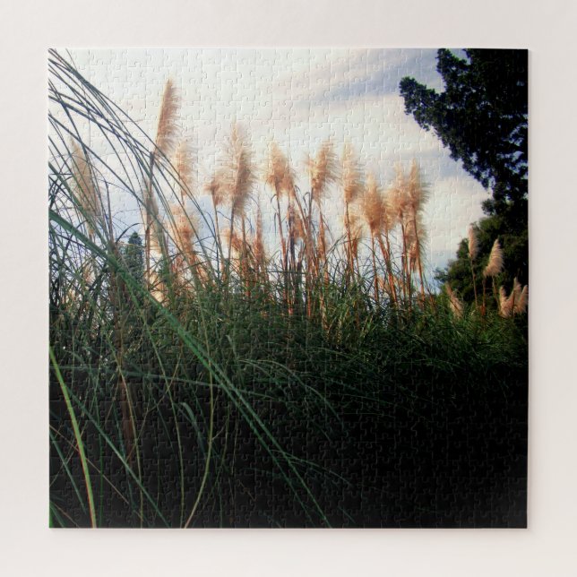 Flores de gramo de pampas blancas, rompecabezas de (Vertical)
