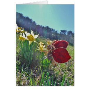Flores de hadas y amarillas