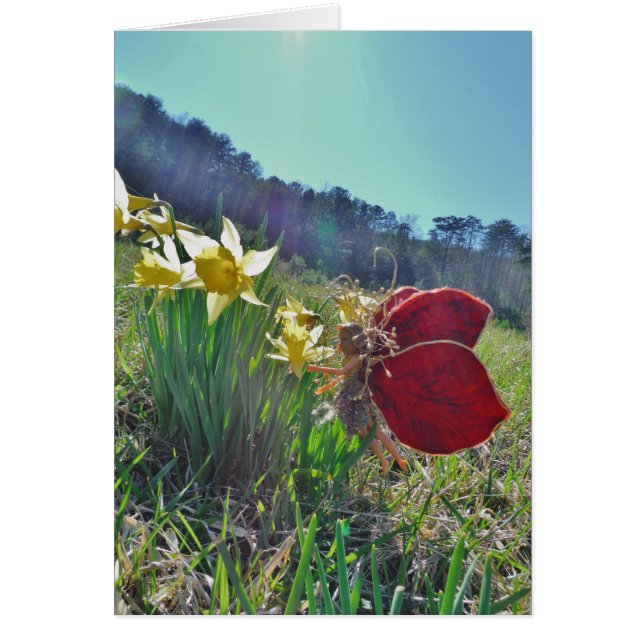 Flores de hadas y amarillas (Frente)