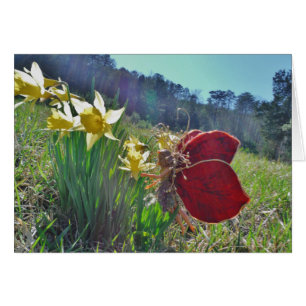 Flores de hadas y amarillas
