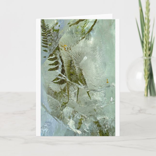 Flores de hielo, tarjeta (Anverso)