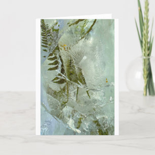 Flores de hielo, tarjeta