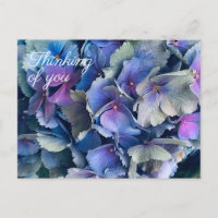 Flores de Hortensia Azules Pensando en Ti Tarjeta 