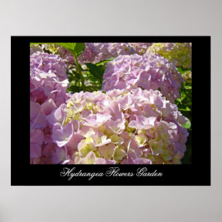 Flores de Hortensia Rosa impresiones artísticas Bo