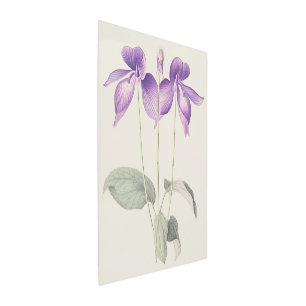 Flores de impresión botánica violeta de pies de av