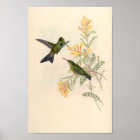 Flores de impresión de pájaros Hummingbirds