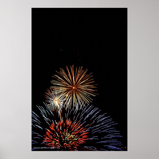 Flores de impresión ligera (Frente)