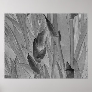 Flores de iris blanco negro Poster de arte origina