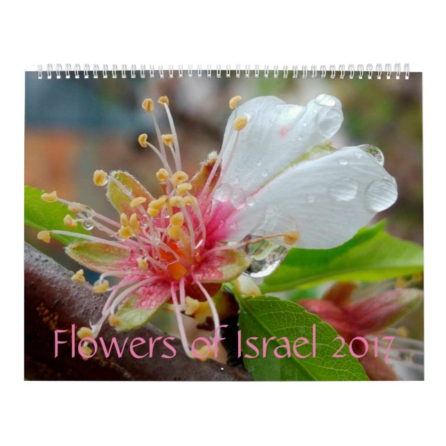 Flores de Israel: Calendario 2017 (Tapa)