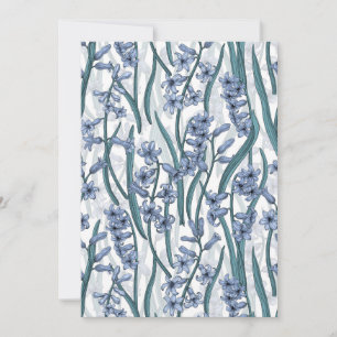 Flores de jacinto azul sobre blanco