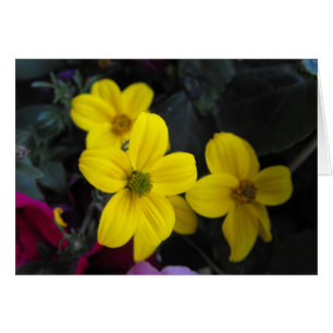 flores de jardín amarillas