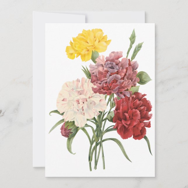Flores de Jardín de Claveles por Invitación de Red (Anverso)