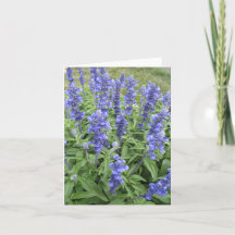 Flores de jardín de Salvia azul tarjeta de nota en