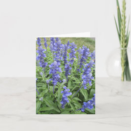 Flores de jardín de Salvia azul tarjeta de nota en