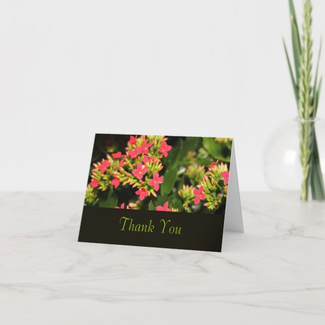 flores de jardín rojas, tarjeta de agradecimiento (Anverso)