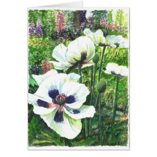 Flores de la amapola blanca en el campo