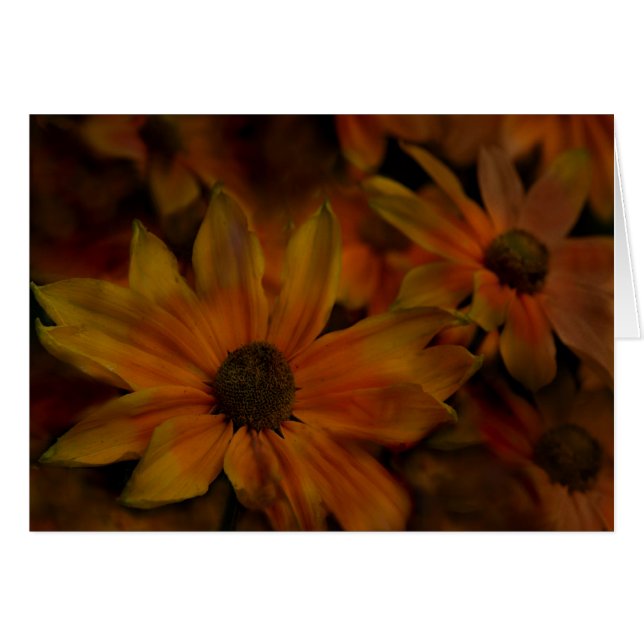 Flores de la cala de los pescados (Anverso (Horizontal))