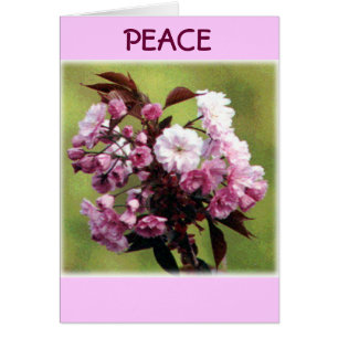 Flores de la paz